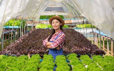 Gaji Magang Kerja Petani di Jepang, Bagaimana Syaratnya? Simak Penjelasannya