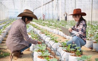 Program Tokutei Ginou Pertanian di Jepang, Simak Penjelasannya