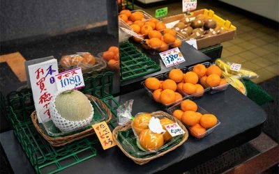 Tips Menyimpan Bahan Makanan Saat Musim Panas di Jepang