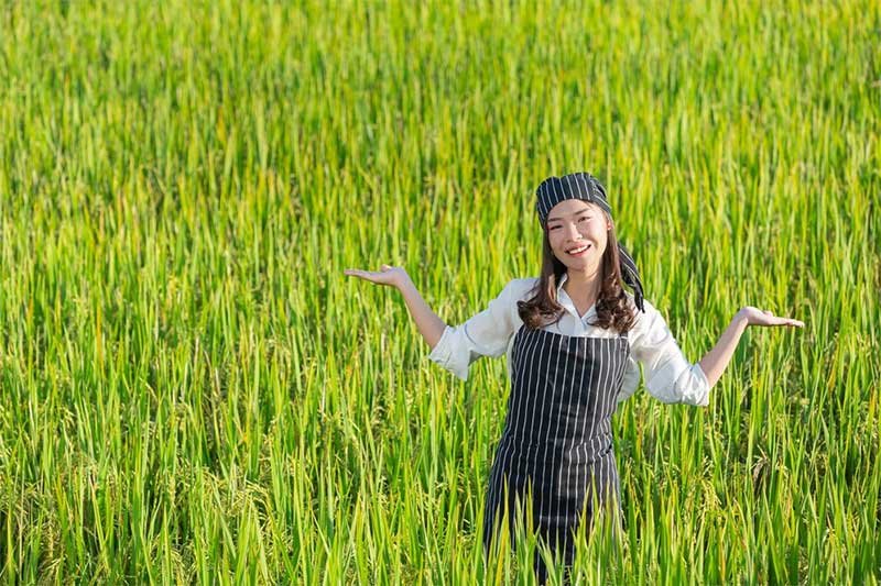 Taue Odori Tradisi Penanaman Padi di Jepang