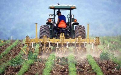 Cara Bisa Kerja di Jepang Lulusan SMP, Berikut Biaya dan Jalur Resminya