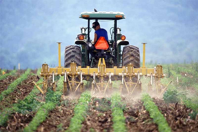 Cara Bisa Kerja di Jepang Lulusan SMP, Berikut Biaya dan Jalur Resminya