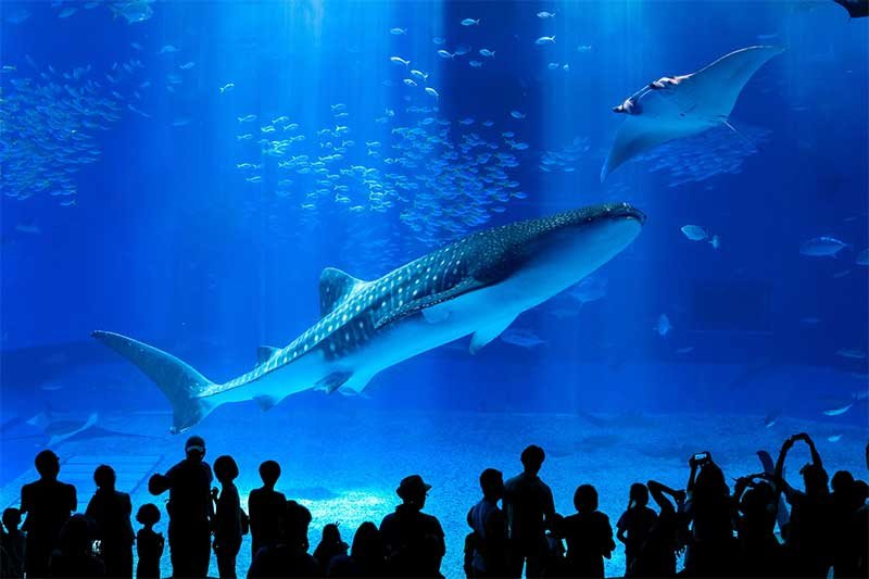 Tempat Wisata Okinawa Jepang Mirip Indonesia