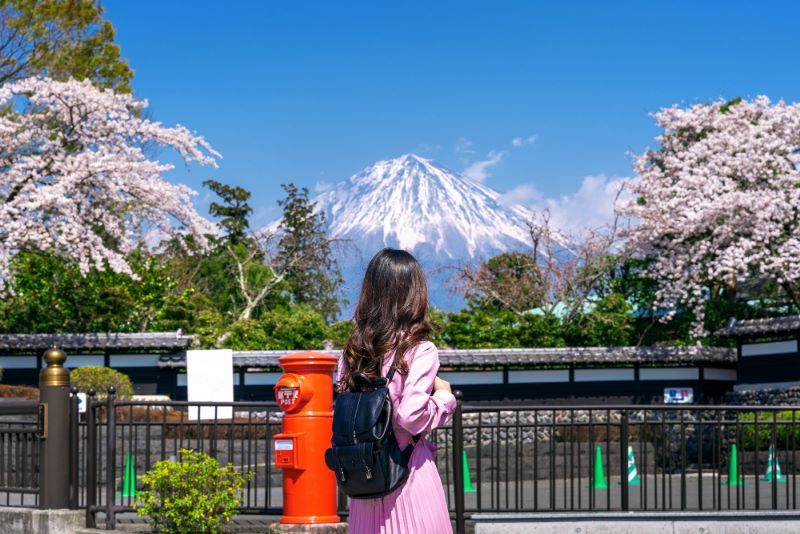 Panduan Visa Designated Activities (Tokutei Katsudo) Izin Tinggal di Jepang bagi Lulusan Universitas yang Akan Menempuh S2 atau S3
