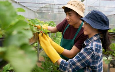 BPJS Ketenagakerjaan untuk WNI yang Kerja di Jepang, Manfaat, Iuran, dan Cara Daftar
